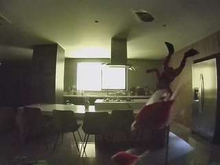 voyeurcam-casa-salsa-fishtank