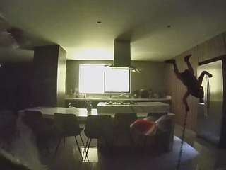 voyeurcam-casa-salsa-fishtank