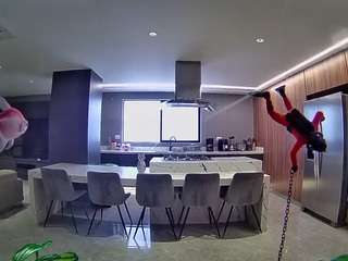 voyeurcam-casa-salsa-fishtank