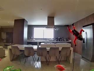 voyeurcam-casa-salsa-fishtank