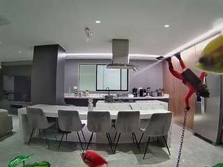 voyeurcam-casa-salsa-fishtank