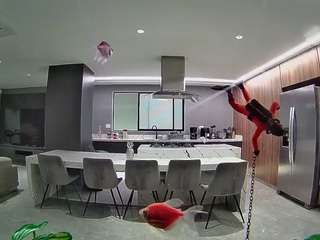 voyeurcam-casa-salsa-fishtank