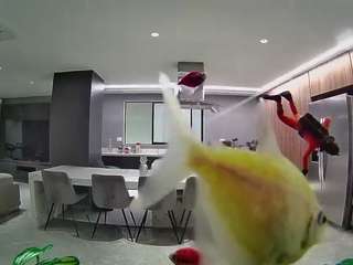 voyeurcam-casa-salsa-fishtank