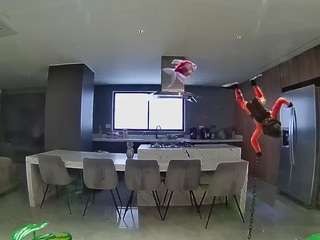 voyeurcam-casa-salsa-fishtank