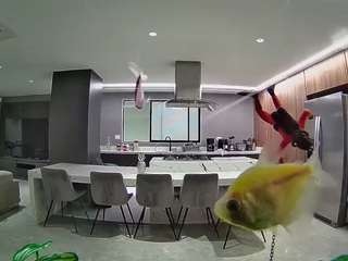 voyeurcam-casa-salsa-fishtank