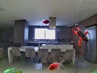 voyeurcam-casa-salsa-fishtank