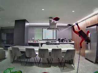 voyeurcam-casa-salsa-fishtank