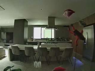 voyeurcam-casa-salsa-fishtank