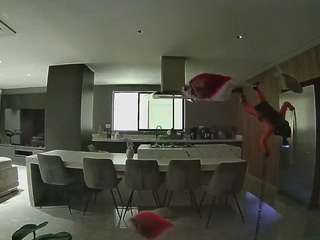 voyeurcam-casa-salsa-fishtank