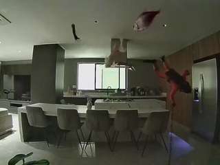 voyeurcam-casa-salsa-fishtank