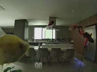 voyeurcam-casa-salsa-fishtank