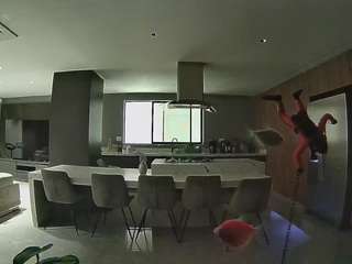 voyeurcam-casa-salsa-fishtank