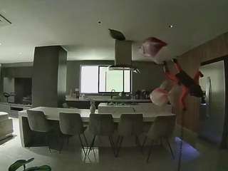 voyeurcam-casa-salsa-fishtank