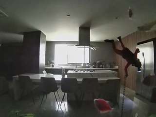 voyeurcam-casa-salsa-fishtank
