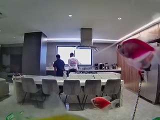 voyeurcam-casa-salsa-fishtank