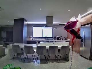 voyeurcam-casa-salsa-fishtank