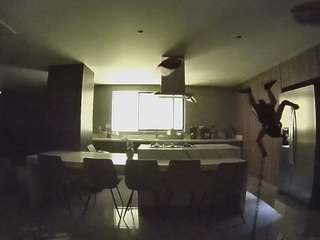 voyeurcam-casa-salsa-fishtank