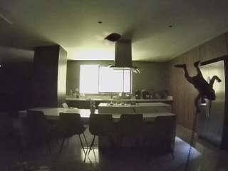 voyeurcam-casa-salsa-fishtank
