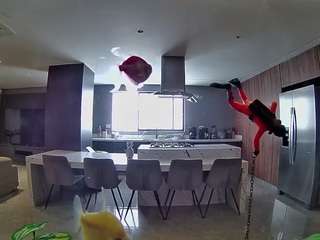 voyeurcam-casa-salsa-fishtank