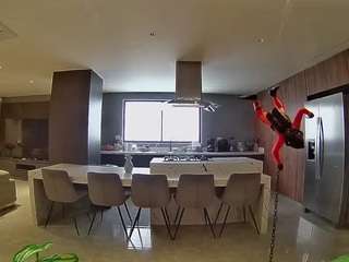 voyeurcam-casa-salsa-fishtank