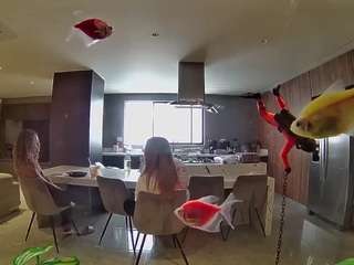 voyeurcam-casa-salsa-fishtank