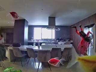 voyeurcam-casa-salsa-fishtank