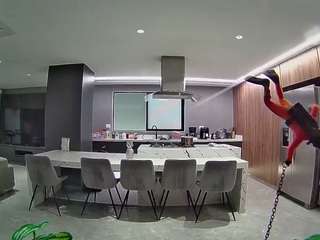 voyeurcam-casa-salsa-fishtank
