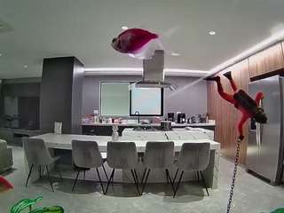 voyeurcam-casa-s... Live Webcam on CamSoda
