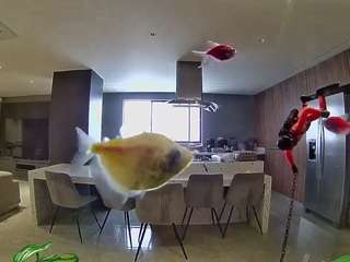 voyeurcam-casa-s... Live Webcam on CamSoda