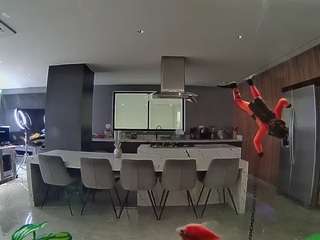 voyeurcam-casa-salsa-fishtank