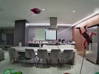 voyeurcam-casa-salsa-fishtank