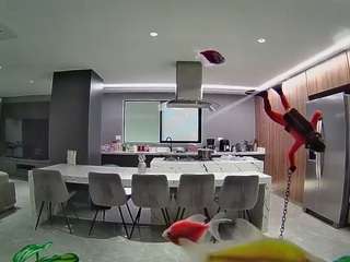 voyeurcam-casa-salsa-fishtank