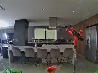 voyeurcam-casa-salsa-fishtank