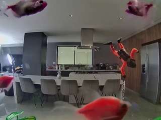 voyeurcam-casa-salsa-fishtank