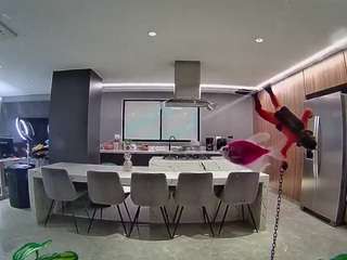 voyeurcam-casa-salsa-fishtank