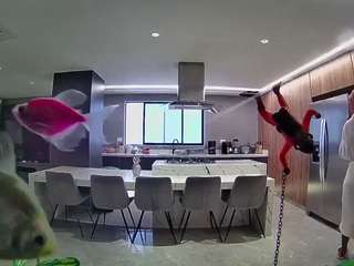 voyeurcam-casa-salsa-fishtank