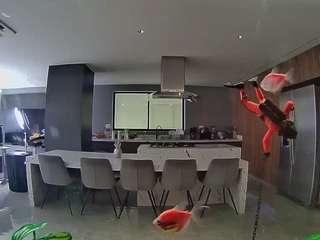voyeurcam-casa-salsa-fishtank