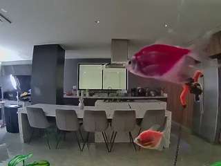 voyeurcam-casa-salsa-fishtank