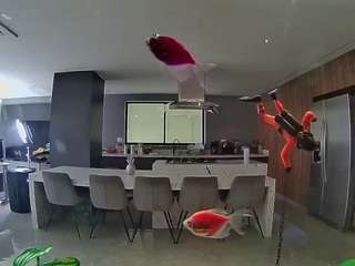voyeurcam-casa-salsa-fishtank
