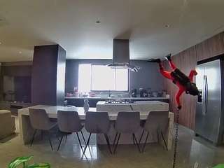 voyeurcam-casa-salsa-fishtank