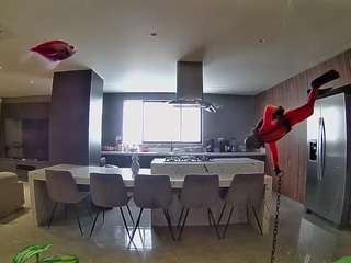 voyeurcam-casa-salsa-fishtank
