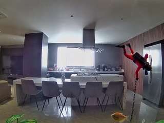 voyeurcam-casa-salsa-fishtank
