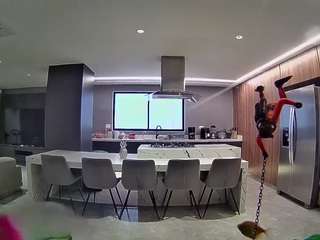 voyeurcam-casa-salsa-fishtank