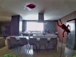voyeurcam-casa-salsa-fishtank
