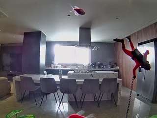 voyeurcam-casa-salsa-fishtank