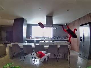 voyeurcam-casa-salsa-fishtank