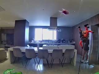 voyeurcam-casa-salsa-fishtank