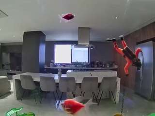 voyeurcam-casa-salsa-fishtank