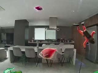 voyeurcam-casa-salsa-fishtank