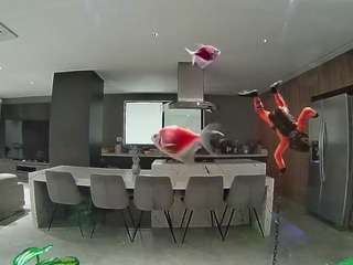 voyeurcam-casa-salsa-fishtank